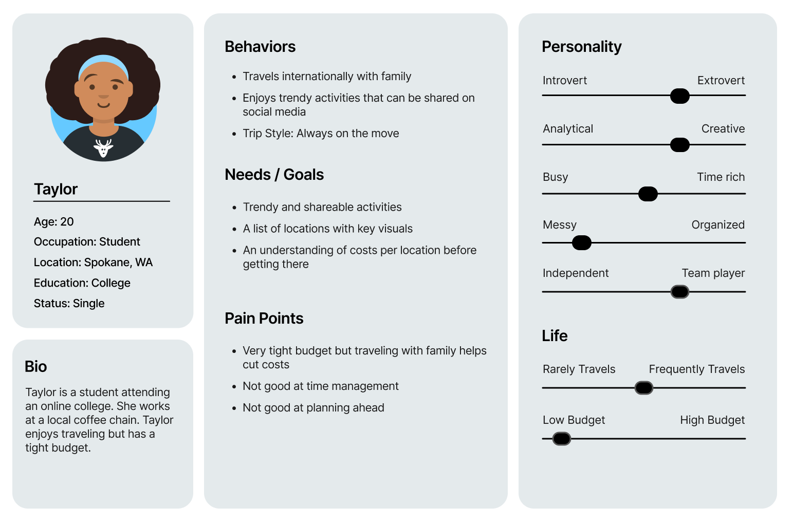 Persona for Taylor including the categories mentioned previously.